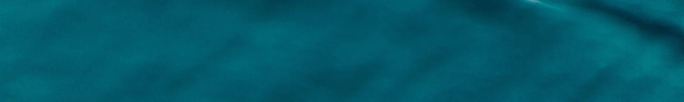 &nbsp;
